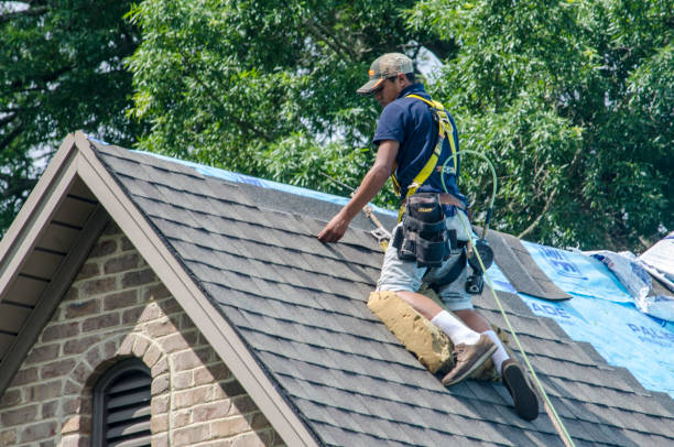 Best Roof Gutter Cleaning  in Howard, WI